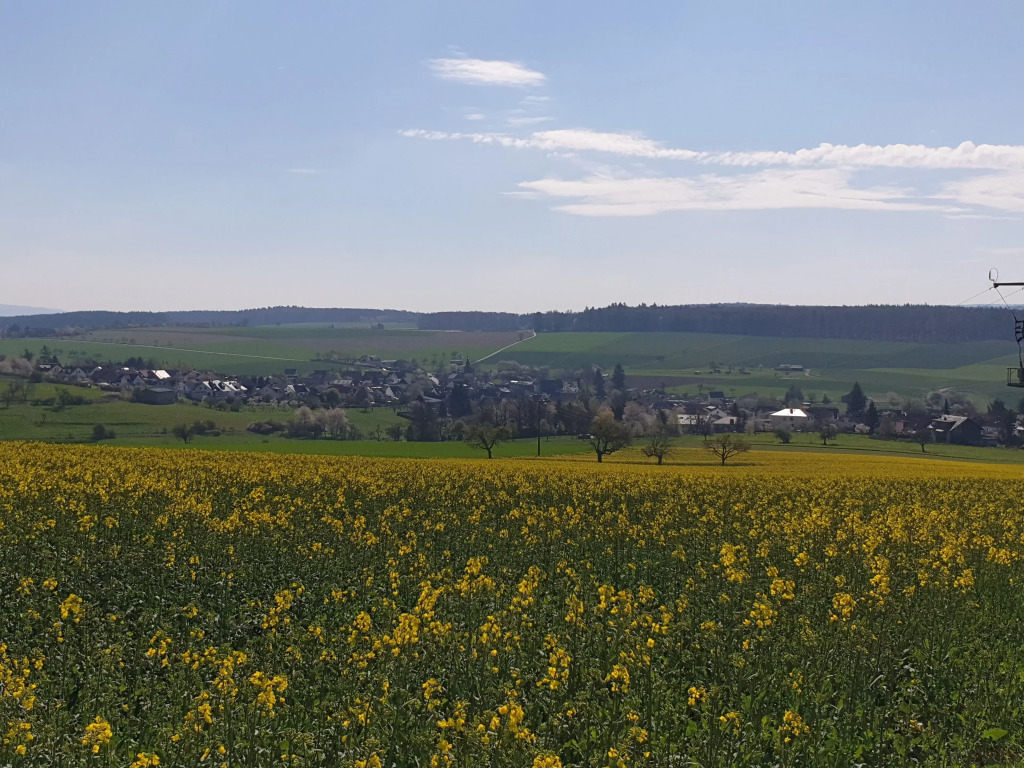 Pension Zum Adler