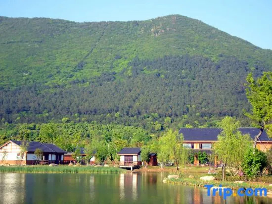 Dayang Mountain Forest Quanli Homestay