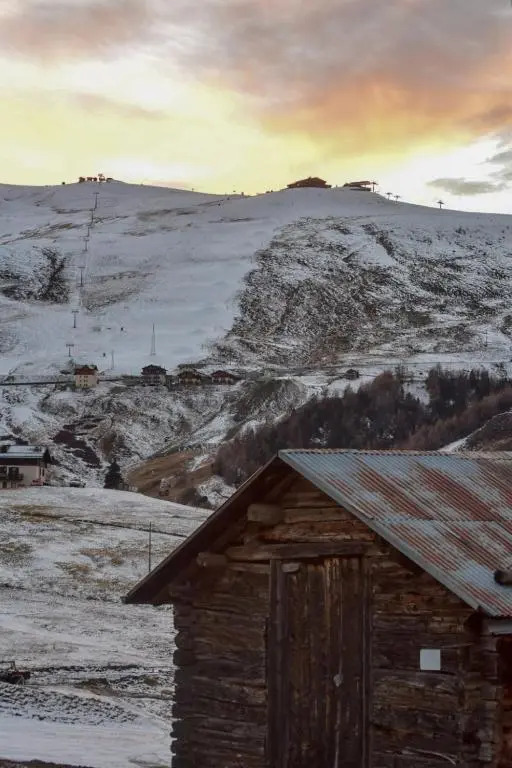 Aranciongiallo