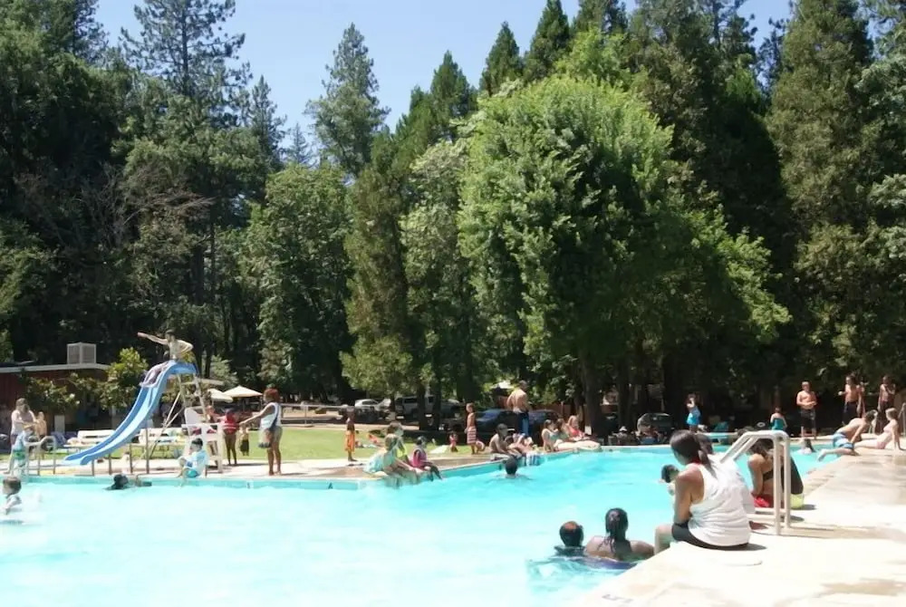 Pine Grove