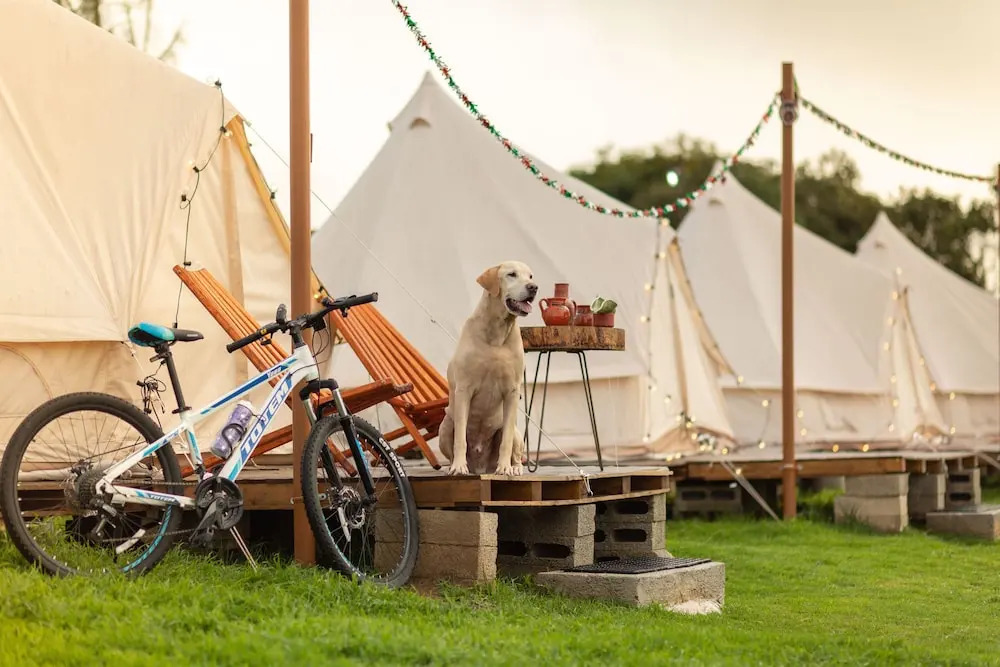 Glamping Octli - Santuario de las Luciernagas X NANTLI LIVING