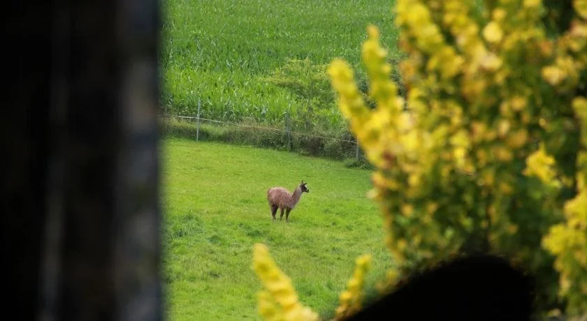Betten im Bauernhaus