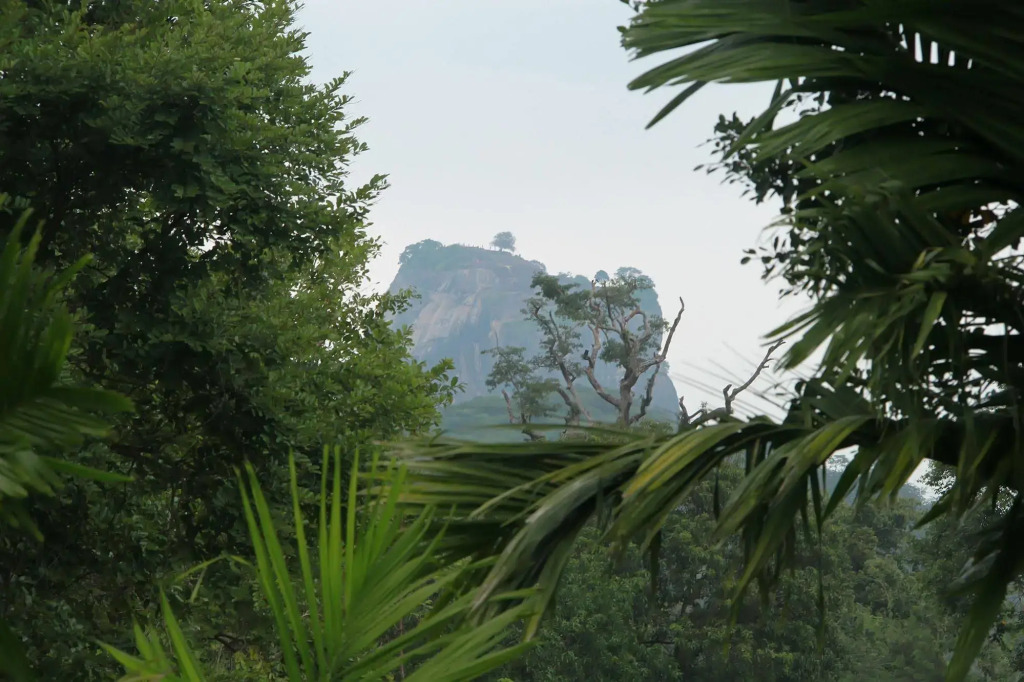 Sigiriya Wewa Addara Hotel - Hotel By The Lake