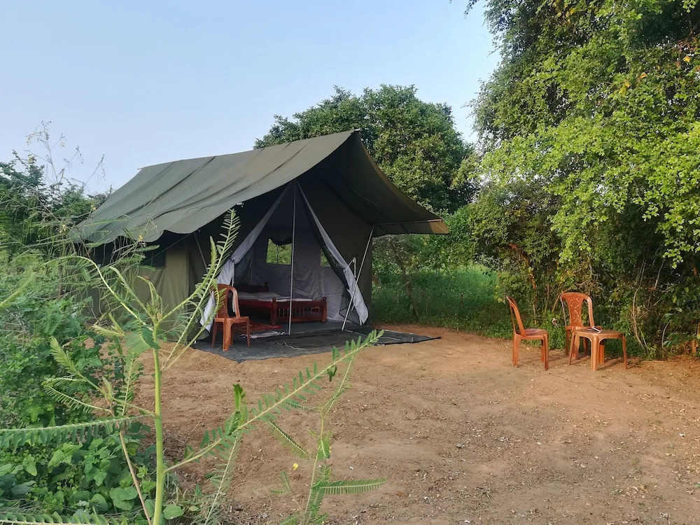Wild eco safari