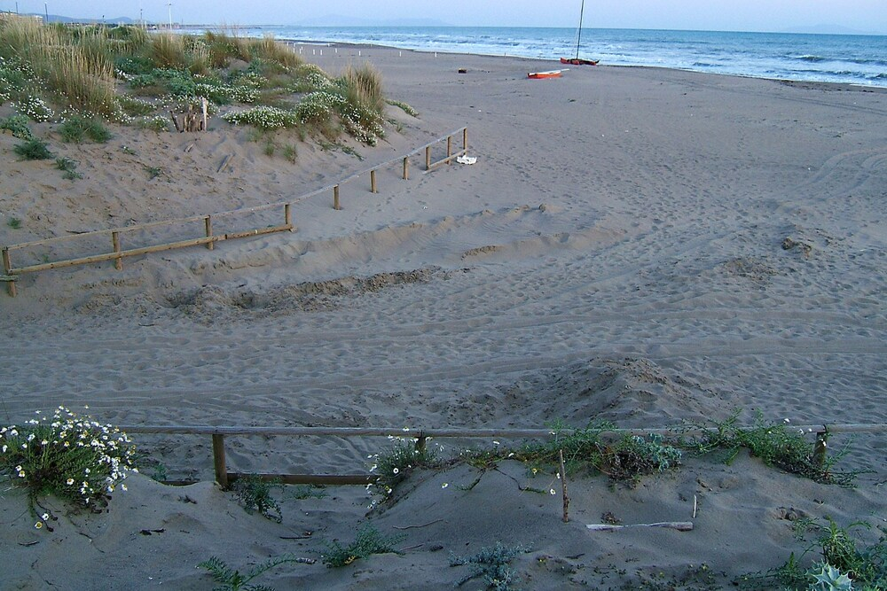 Appartamento Giannutri Vicino al Mare