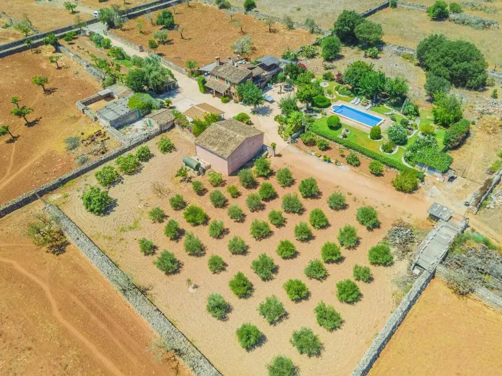 Villa Son Fullos