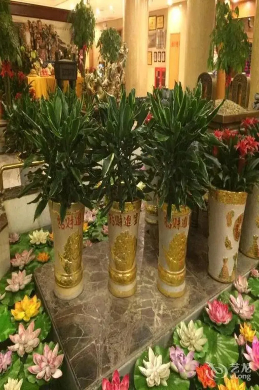 Sanjin International