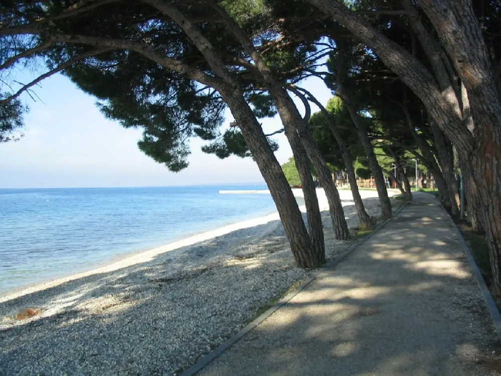 Apartment Amfora