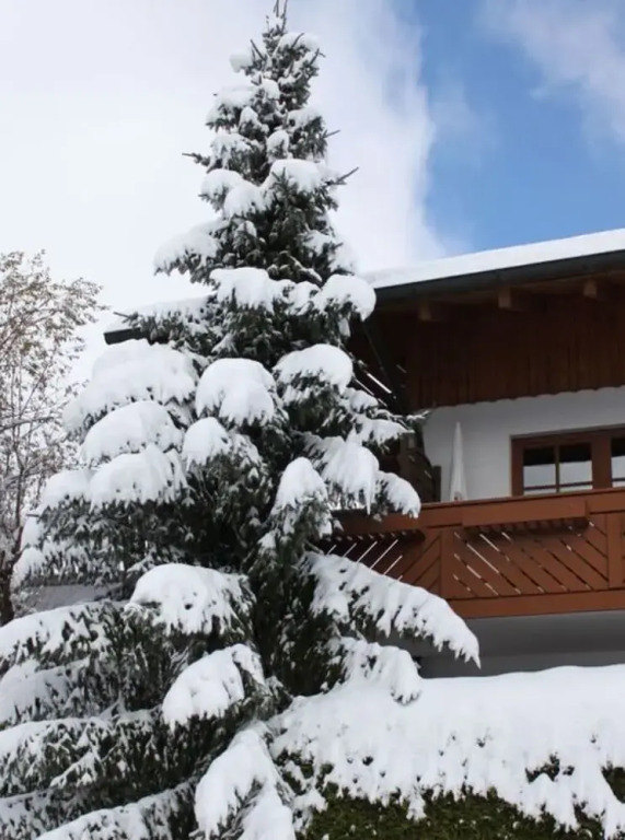 Kreuzwiesen Comfortable Holiday Residence