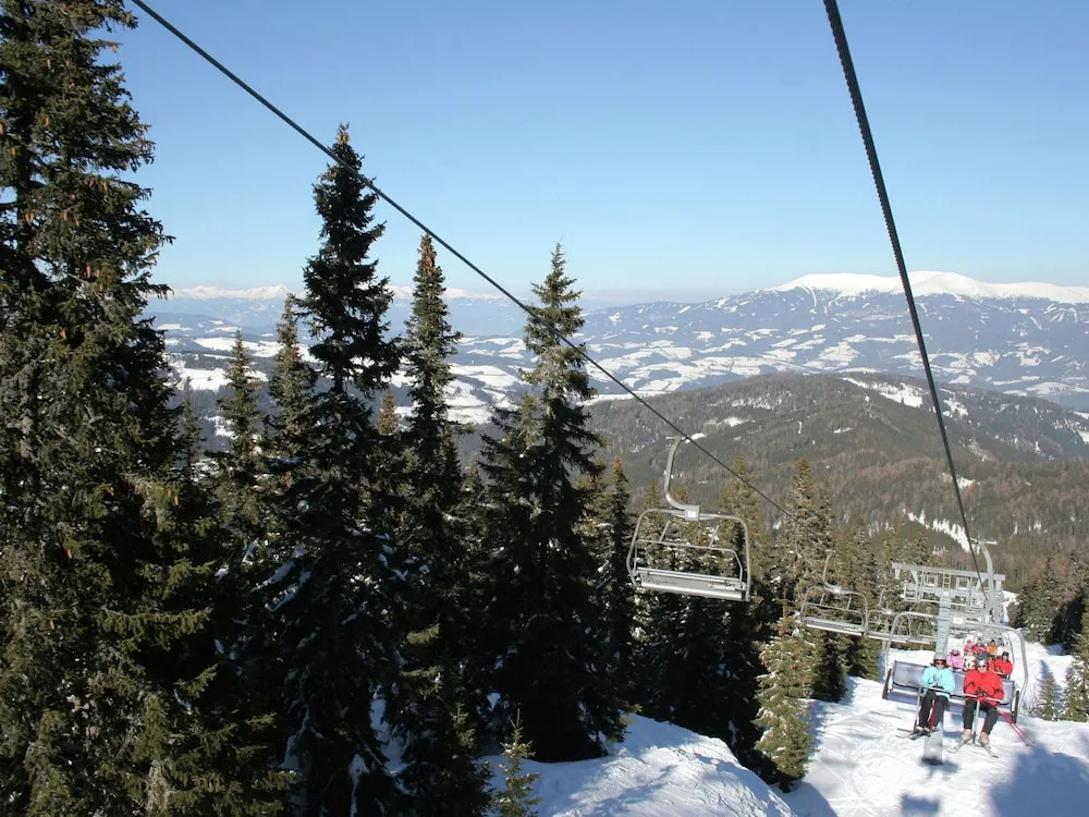 Luxury Chalet in Klippitztörl With Ski Storage