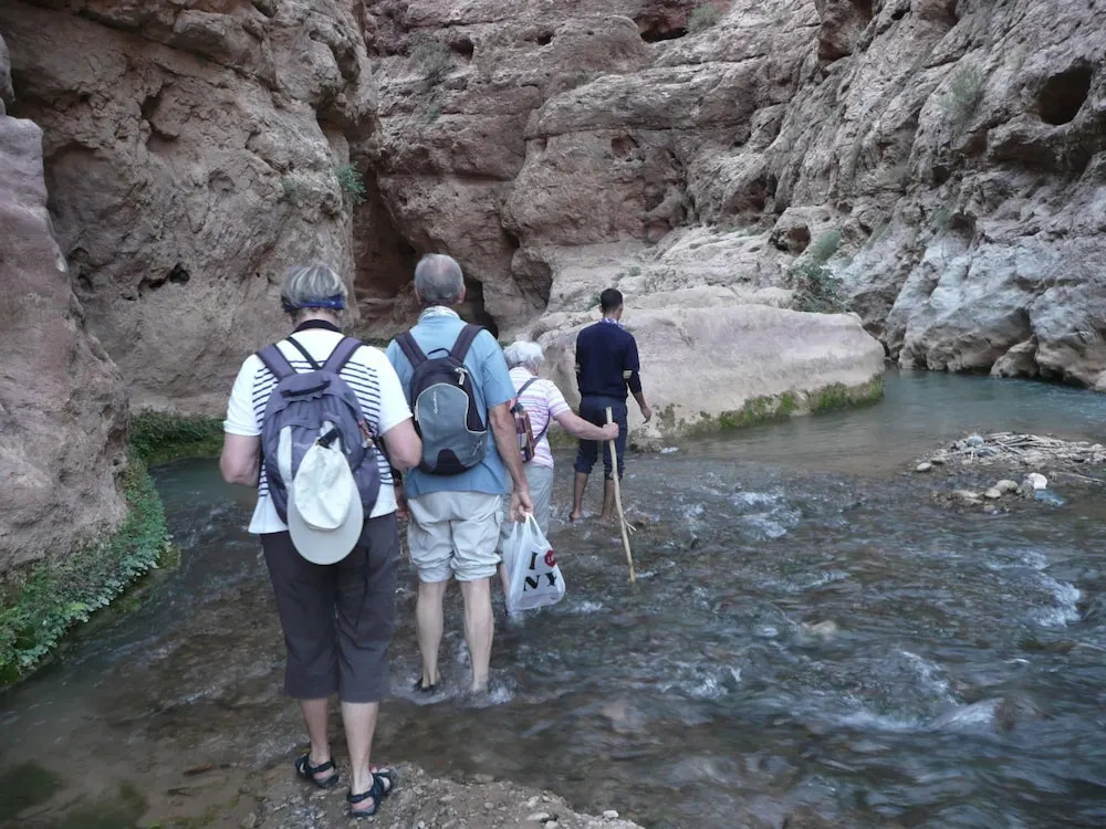 Auberge ALI Todra A Natural Oasis