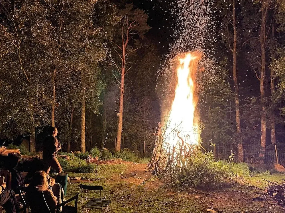 Viltpark Rollerbü Hjortaröd
