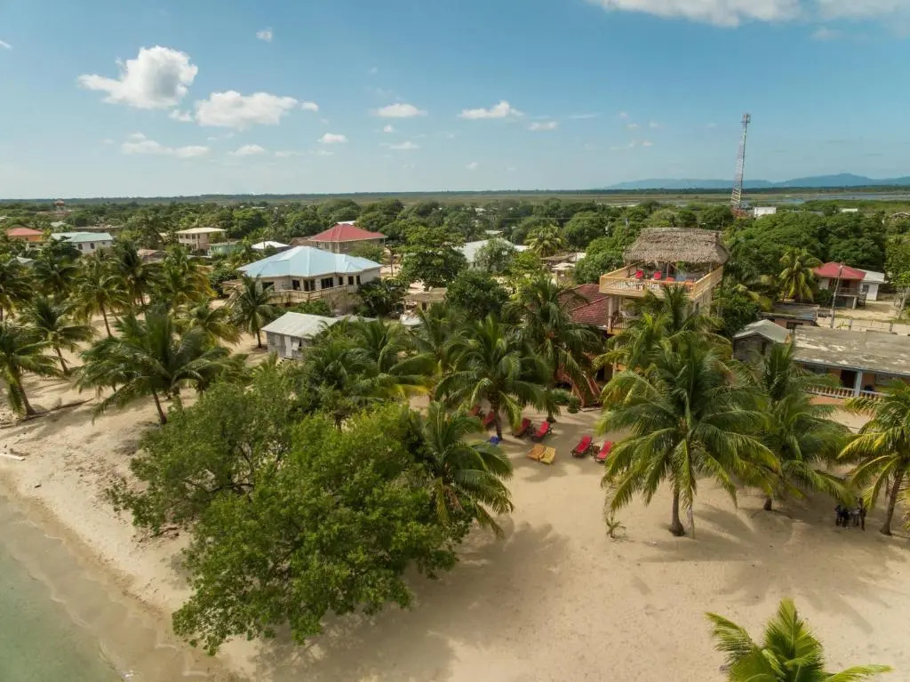 Buttonwood Belize