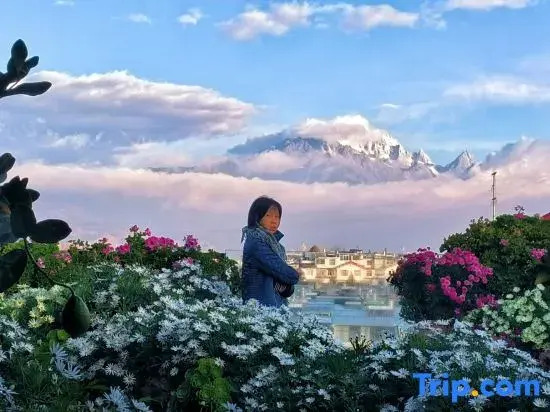 Lijiang The Rooftop Bistro&Bar• English Corner Snow Mountain view Hostel