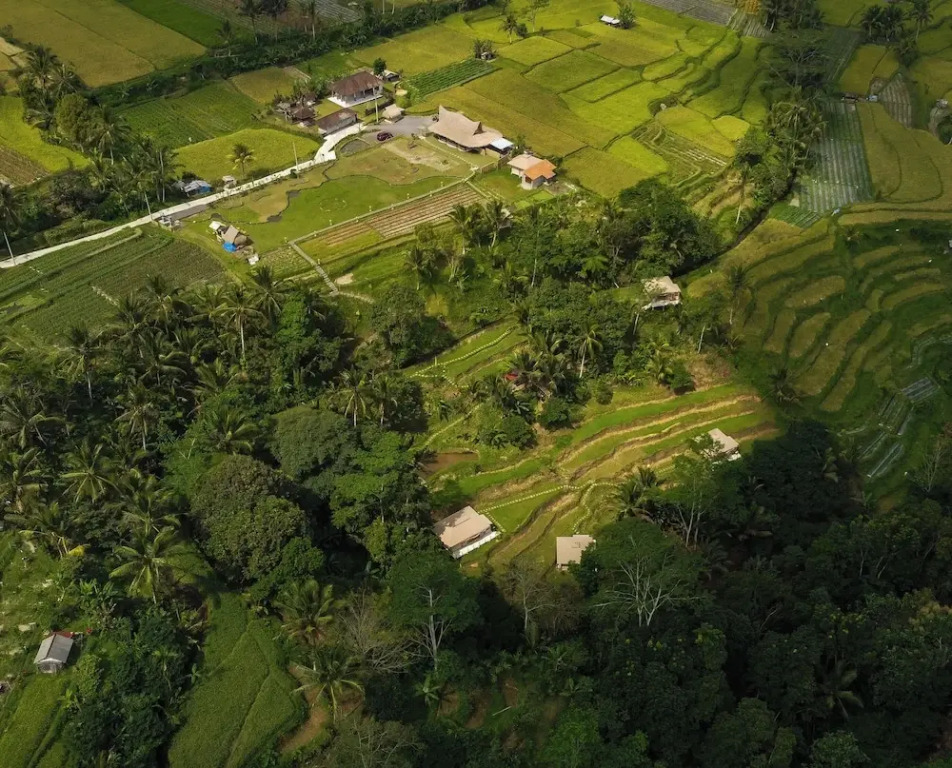 Nadi Nature Resort