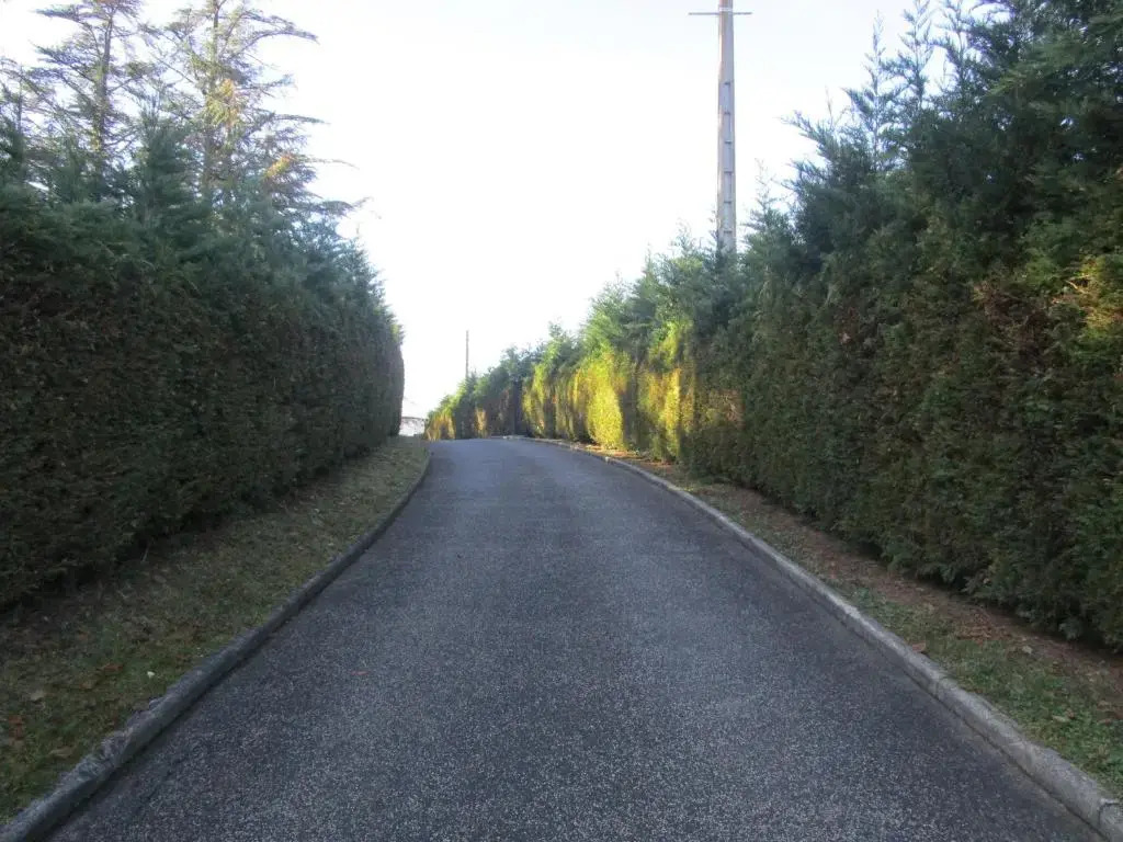 Fouettara