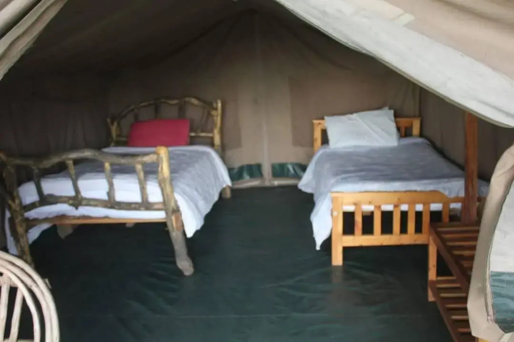 Oasis Eco Camp