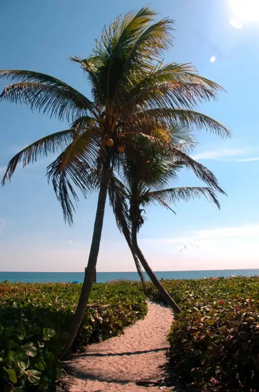 The Dover House Resort
