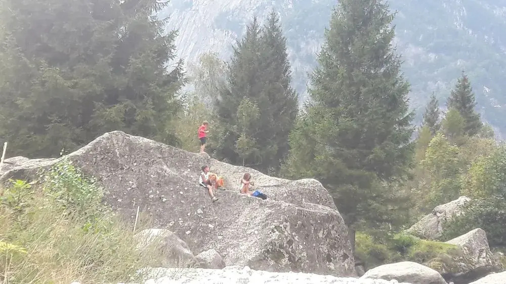 La Tana dell'Orso B & B