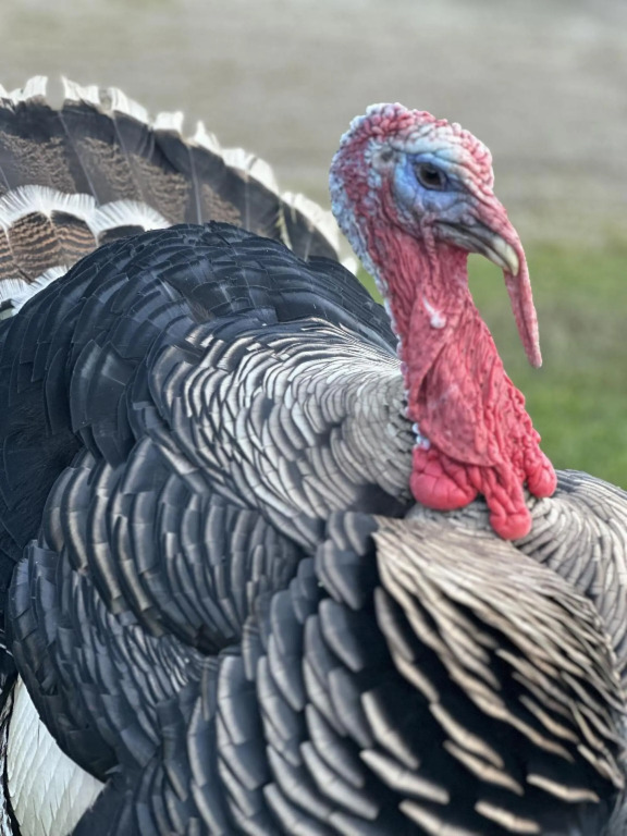 Gratton Grange Farm Bed & Breakfast