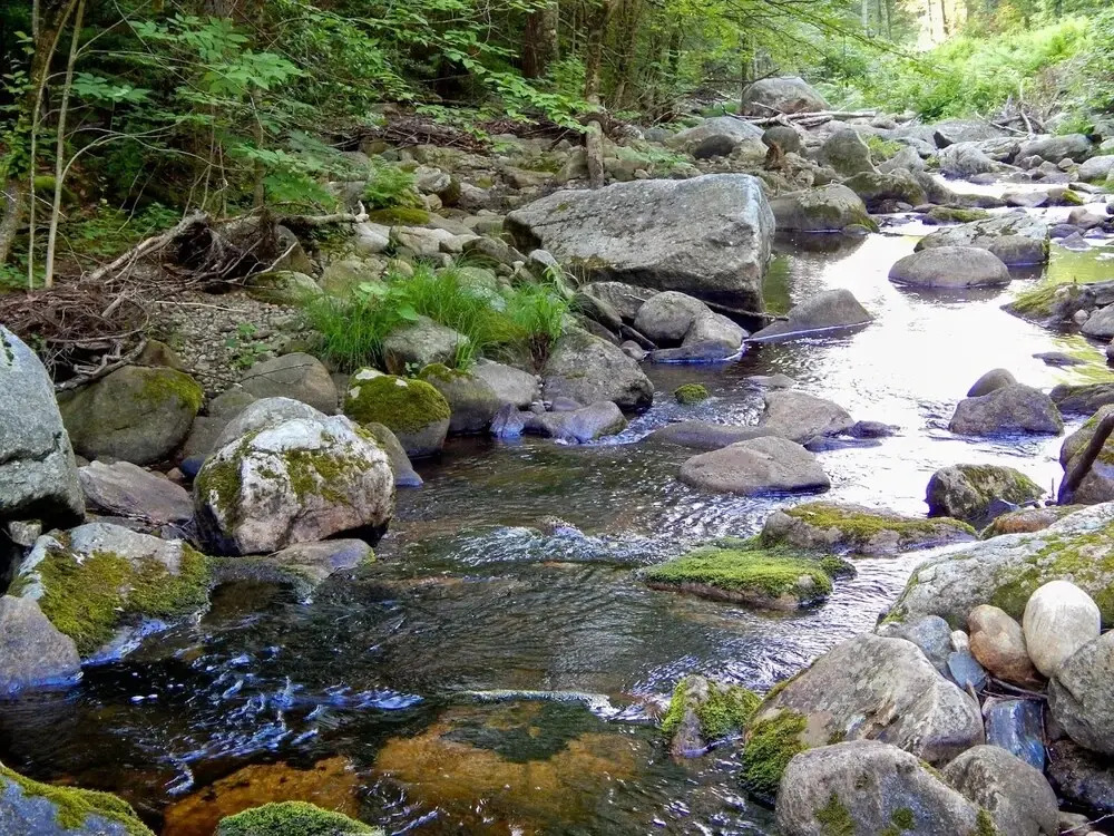 Gầm Trời Art Valley