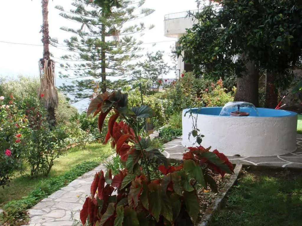 Pantazis Studios