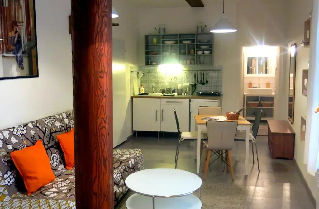 Magnificent apartment in the center of Prague