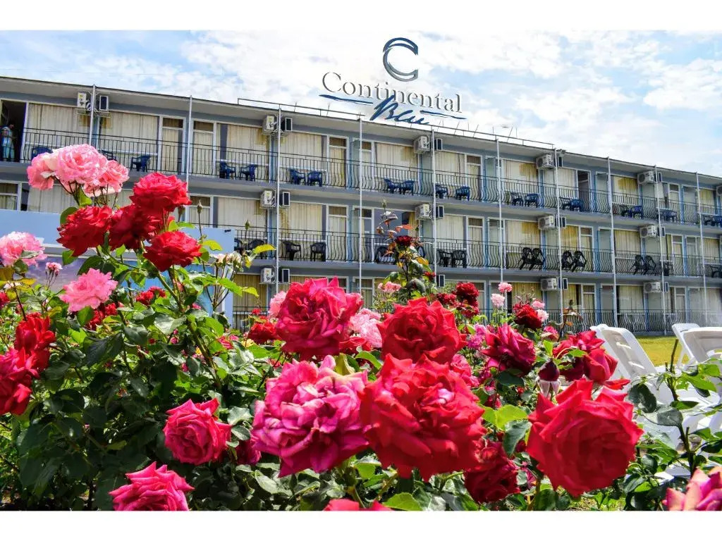 Continental Park Hotel