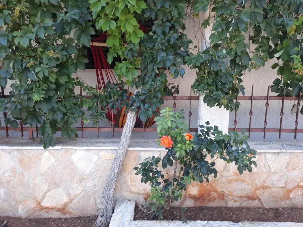 Apartments Anita