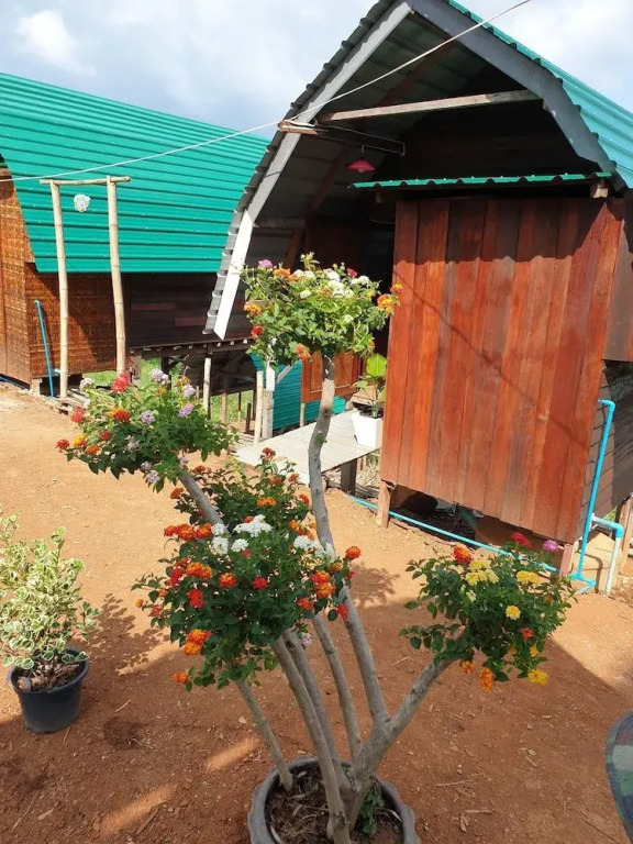 Hug House