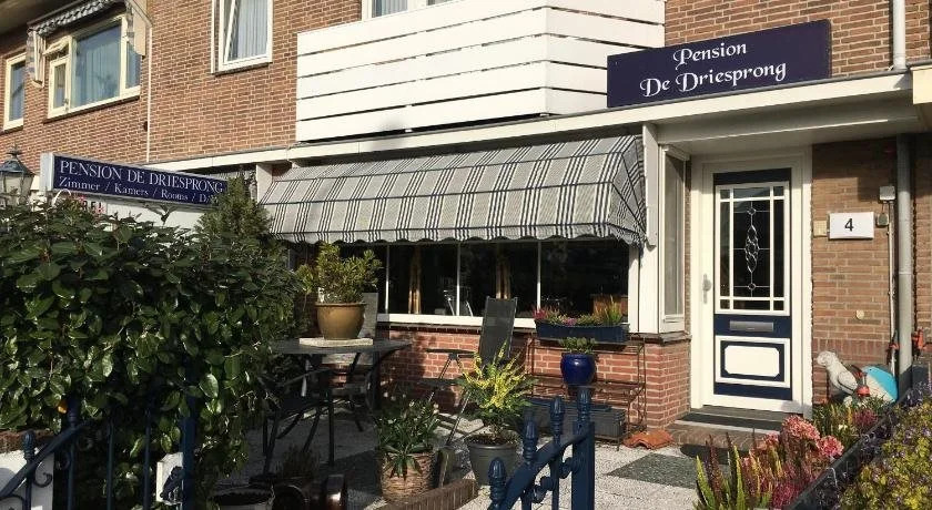Pension de Driesprong