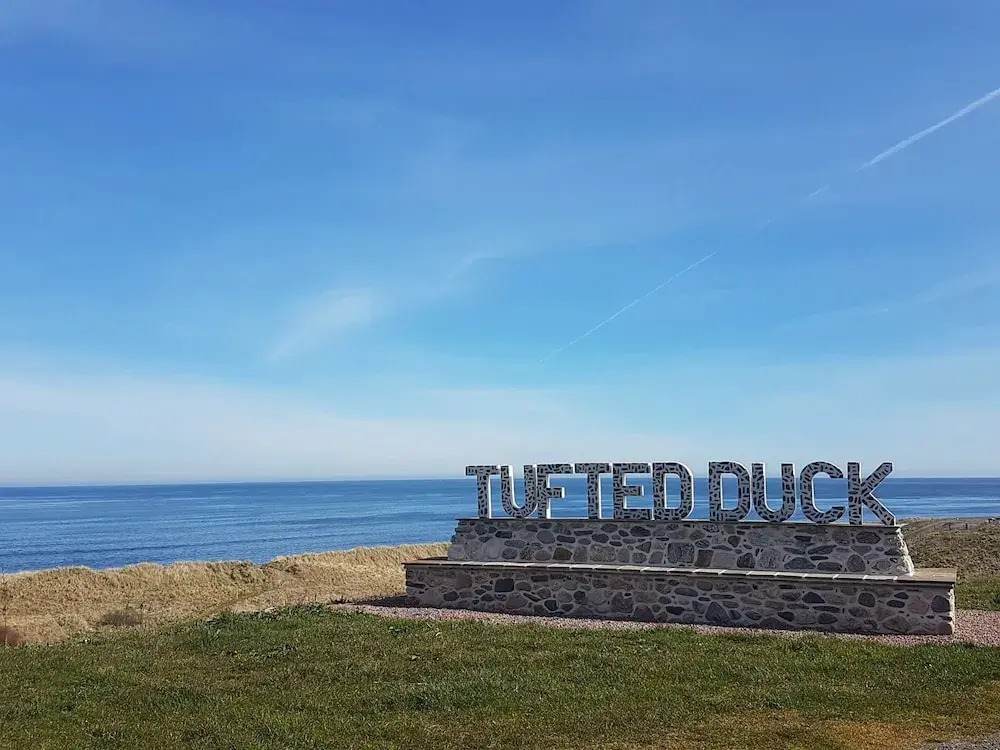 Tufted Duck Hotel