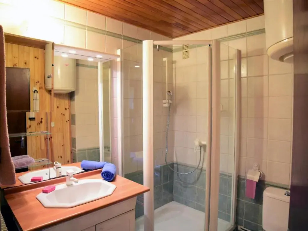 Appartement Les Deux Alpes, 1 pièce, 4 personnes - FR-1-516-47