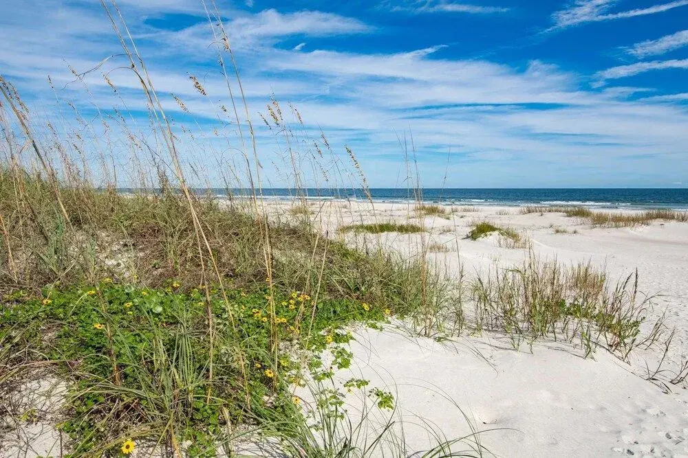 St Augustine Beach Condos