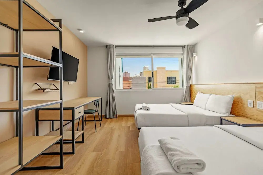 Musgo by Homi Rent