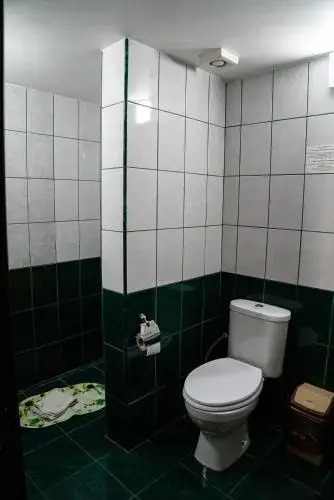 Pensiunea Jiul
