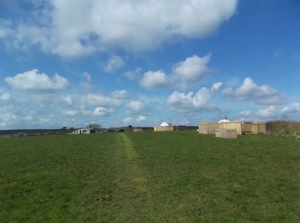 Buzzard Yurt