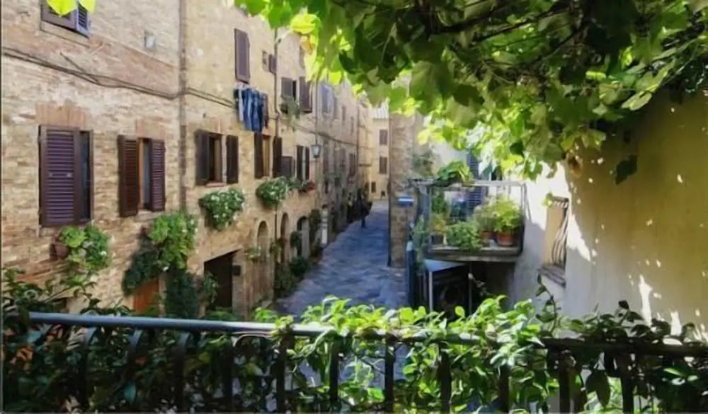 B&B Camere La Vite