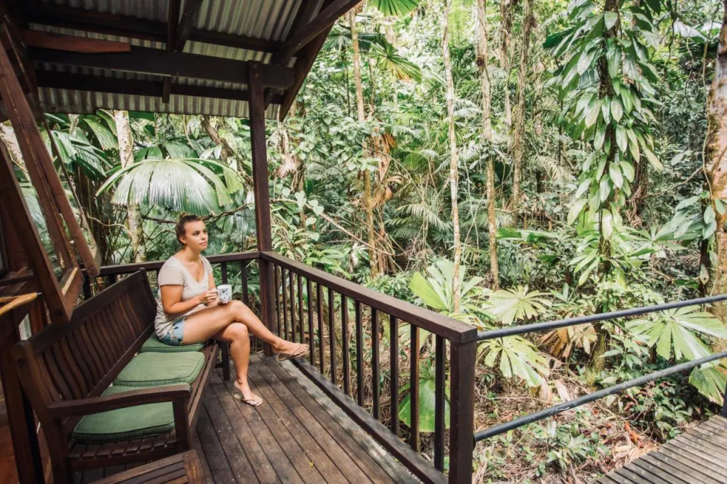 Daintree Wilderness Lodge