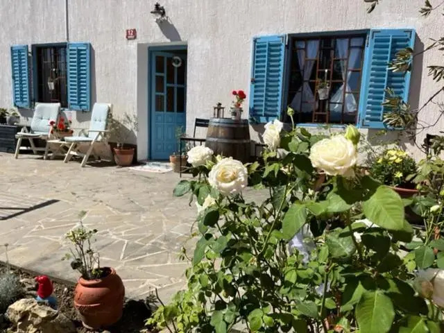 Studio Mojca