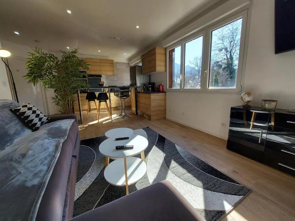 Superbe appartement au centre de St Jorioz