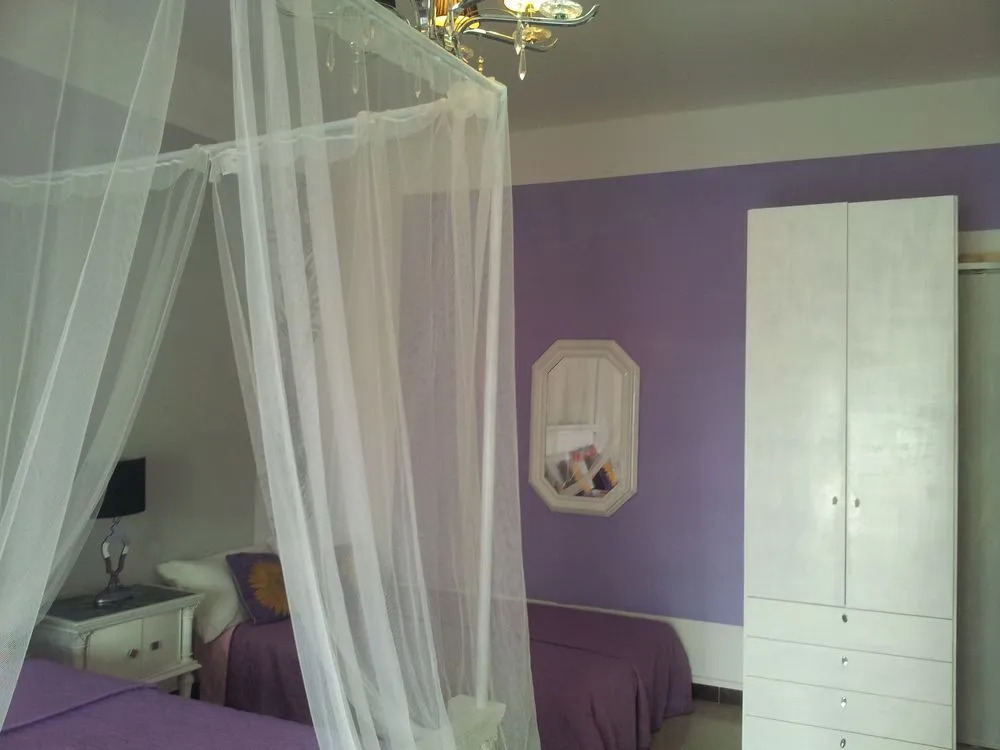 B&B Palese