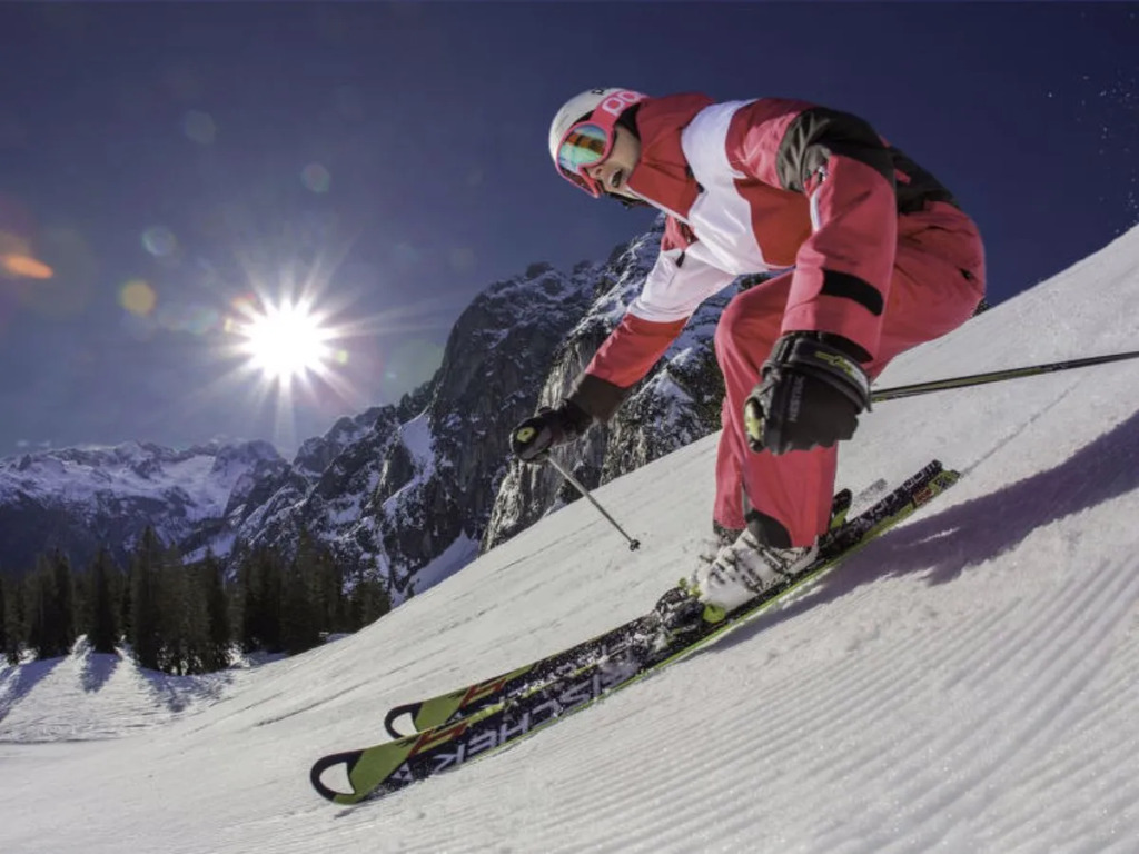 Annis Nest Ramsau am Dachstein