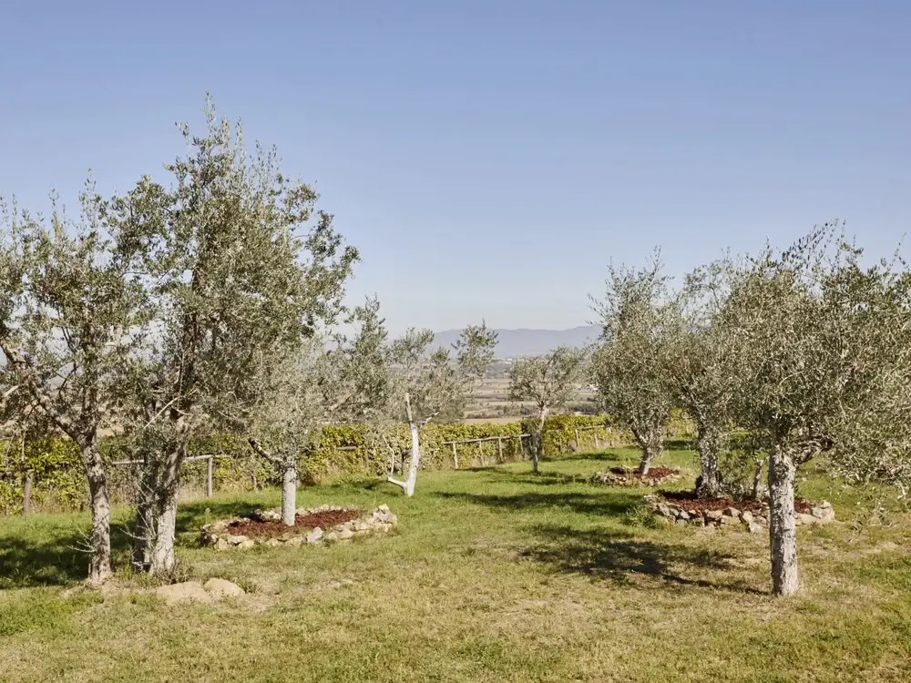 Holiday Home La Smarrita Dei Carradori by Interhome