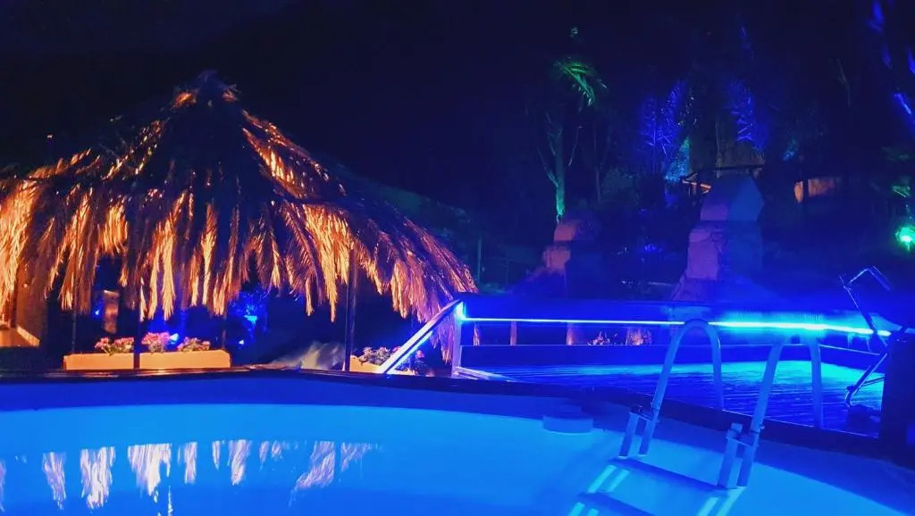 Palma Dello Zingaro