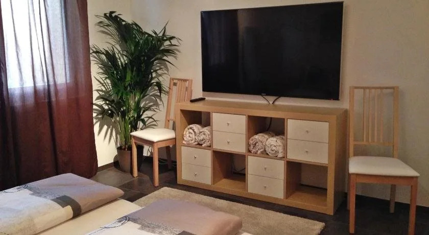 Swiss Lakeview Apartment