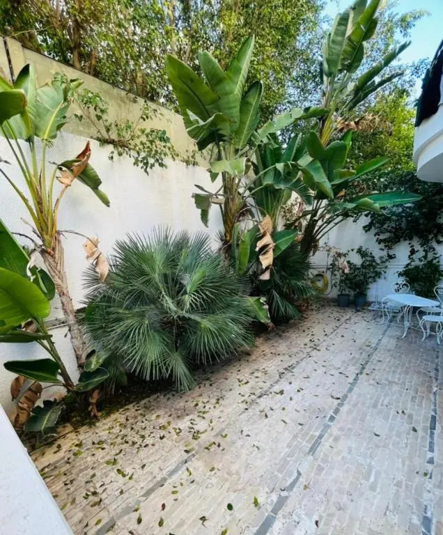 Luxueux studio avec jardin au lac2