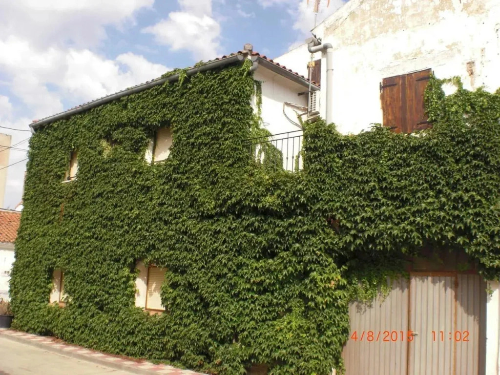 Casa rural de la Abuela