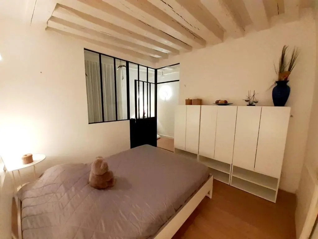 Duplex 60 M2 Bord de Loire