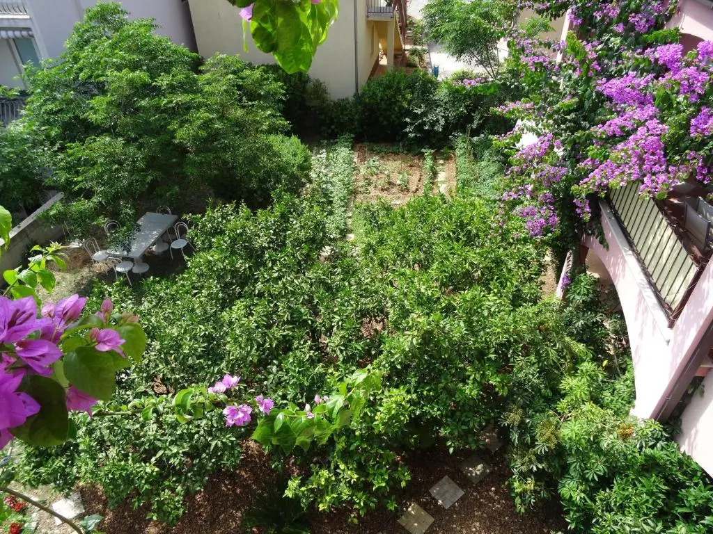 Apartments Roza